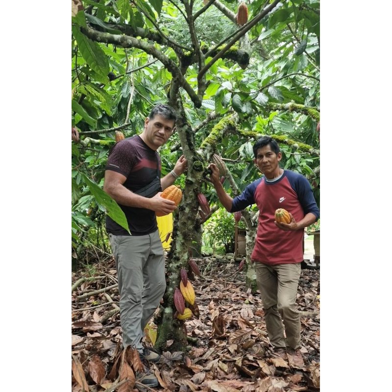 Cacao Ceremonial Orgánico, 250g de la Tribu Ashaninkas en Perú