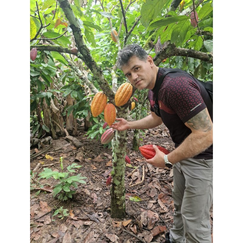 Ashaninka Ceremonial Cacao 1kg