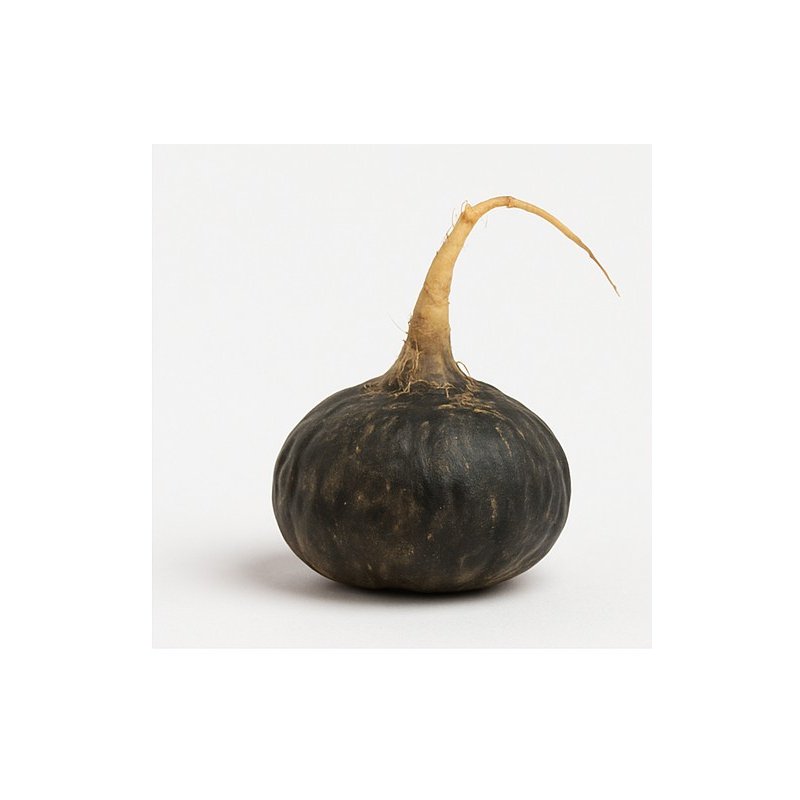 Raíz de Maca Negra Orgánica Gelatinizada