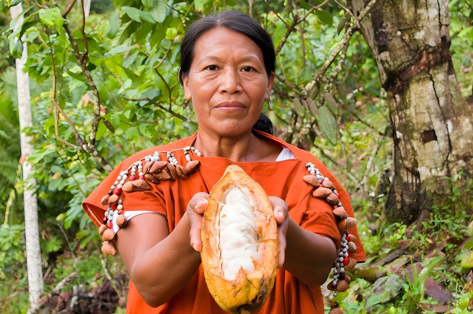 Cacao